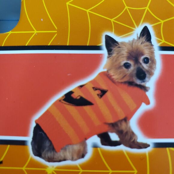 Spooky Village Pumpkin Sweater Small Pet Halloween Attire - Picture 1 of 2